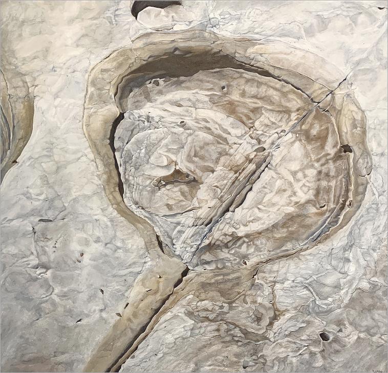 ConcretionPointLobosLarge